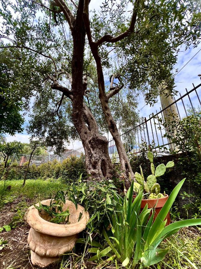 סנטה ונרינה Casa Vacanze "Sautufao" מראה חיצוני תמונה
